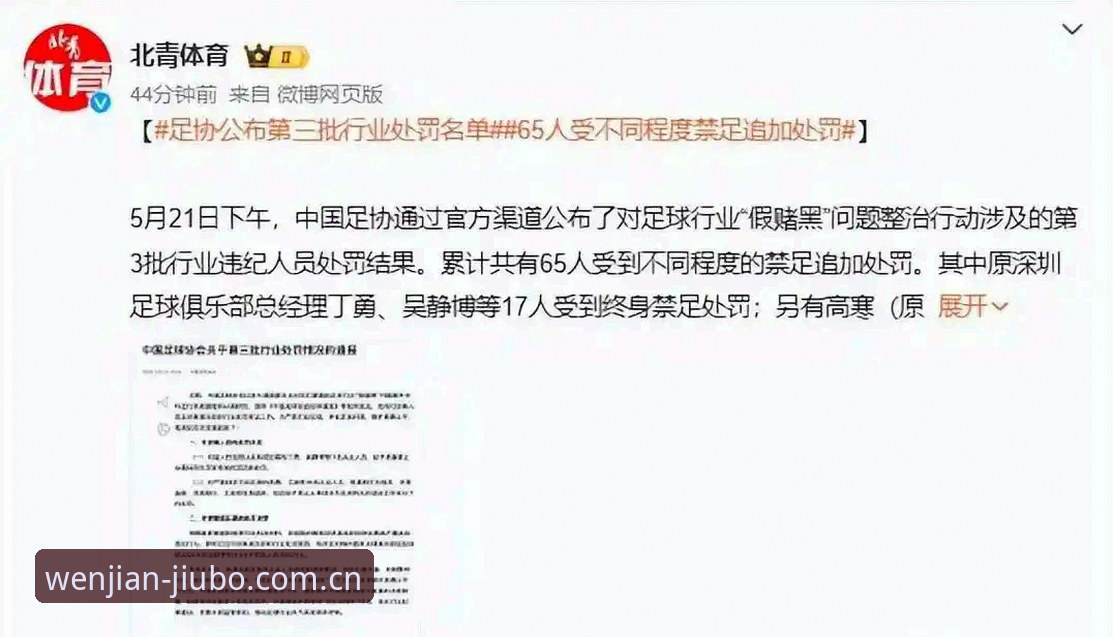 九博国际最新版本攻略 中国足协第三批禁足名单详解:65人受罚背后的行业反思